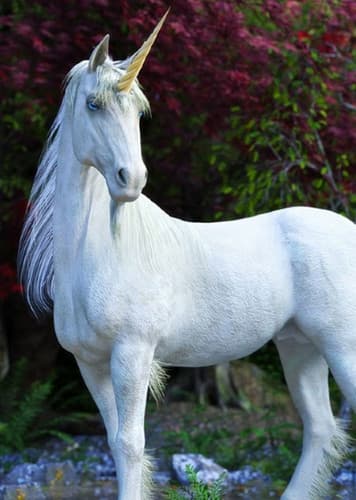 Unicorn