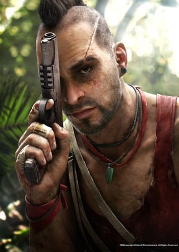 Vaas