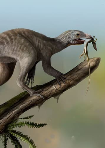 Venetoraptor