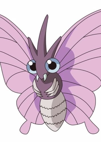 Venomoth