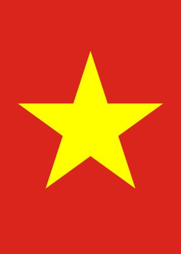 Vietnamese