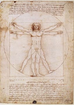 Vitruvian Man