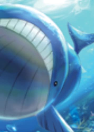 Wailord / ホエルオー