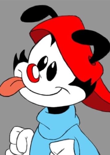 Wakko