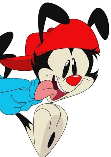 Wakko