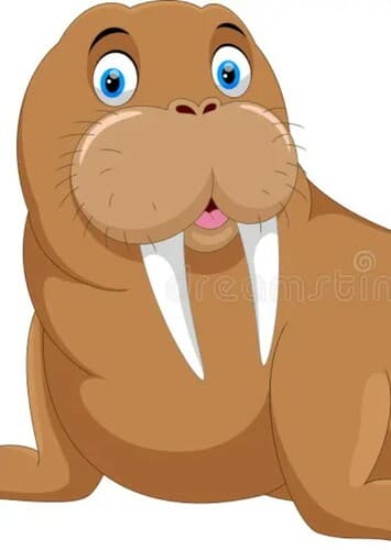 Walrus