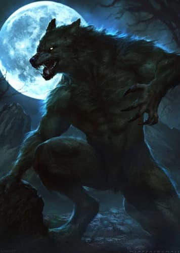 Werewolf Physiology