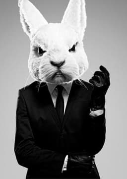 White Rabbit