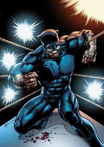 Wildcat (Option Two)