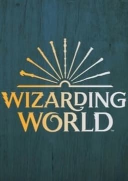 Wizarding World