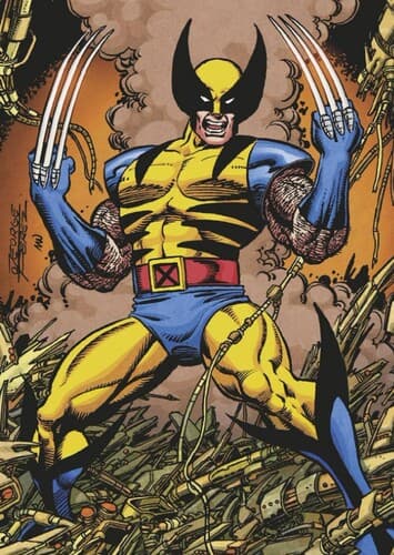 Wolverine