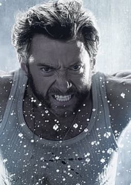 Wolverine