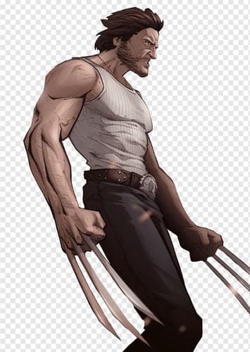 Wolverine/Logan