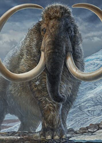 Woolly Mammoth