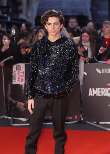 Xander Hawthorne - Timothée Chalamet