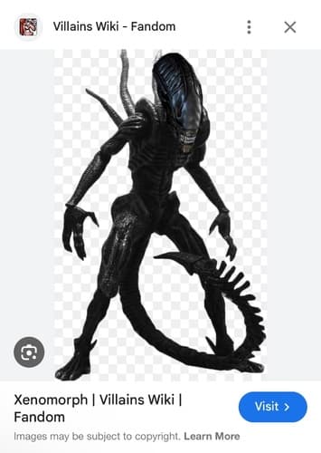 Xenomorph