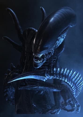 Xenomorph