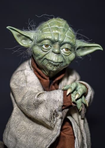 Yoda