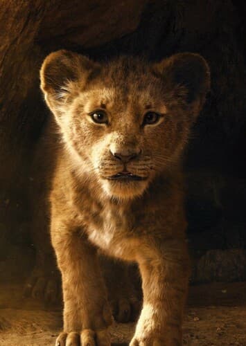 Young Simba