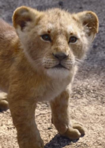 Young Simba