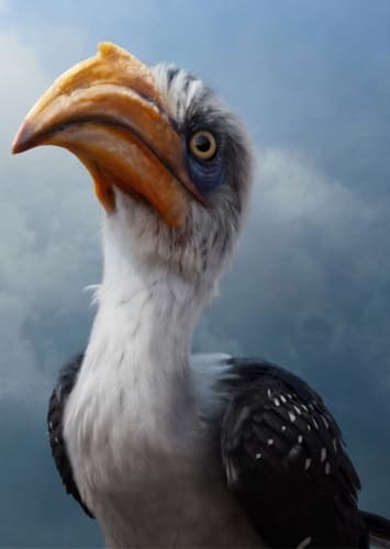Zazu