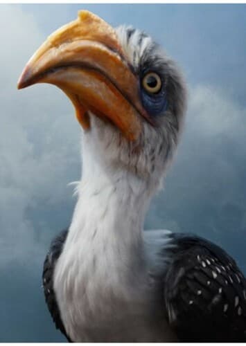 Zazu