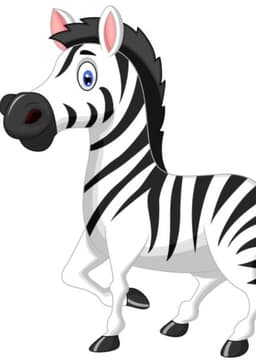 Zebra