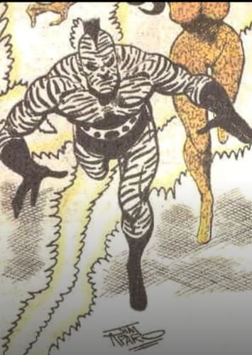 Zebra man 2