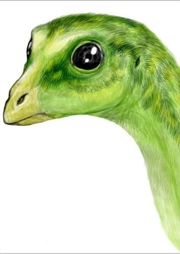Zephyrosaurus