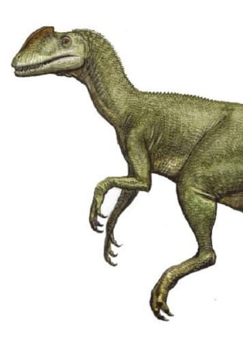 Zupaysaurus
