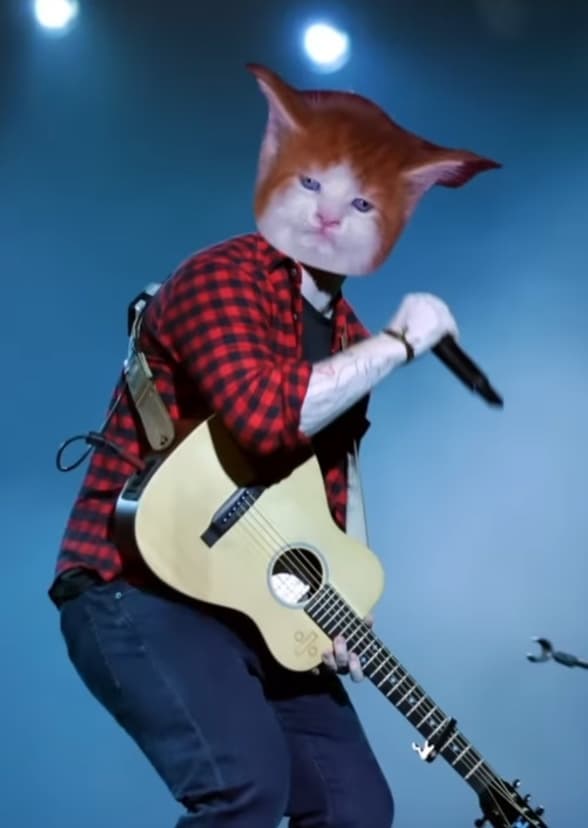 Animal Celebrity lookalikes