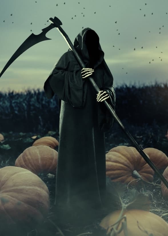 Ao Dang, Te Suo asked (2024)