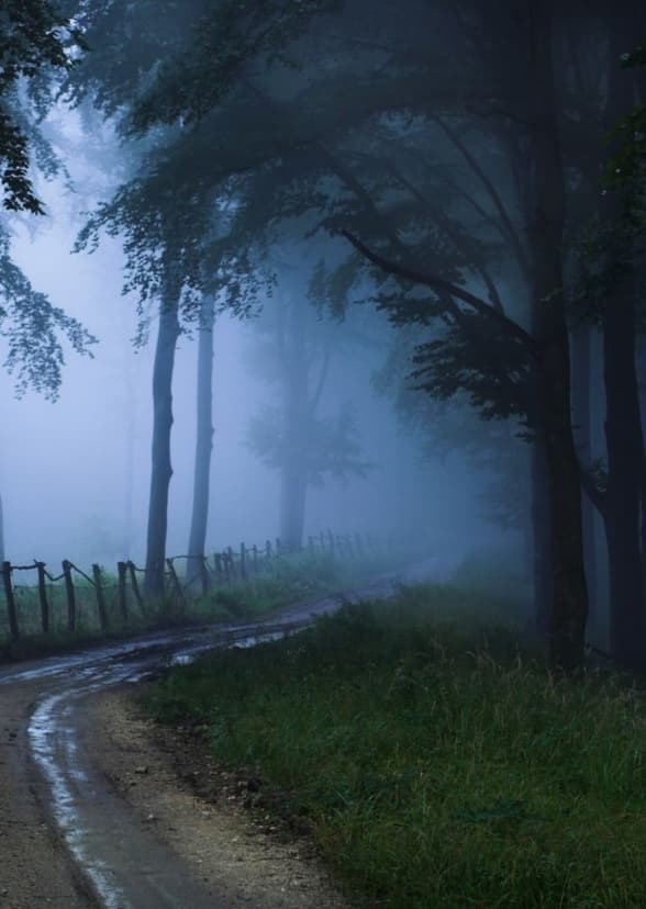 Beware Of Monster In The Woods