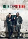 Blindspotting (TV Show)