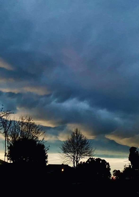 Fictional Characters