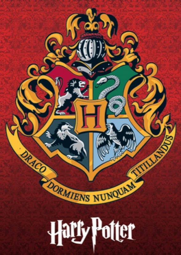 Harry Potter (HBO TV Series)