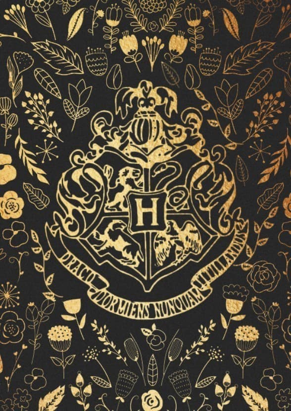 Hogwarts: A History