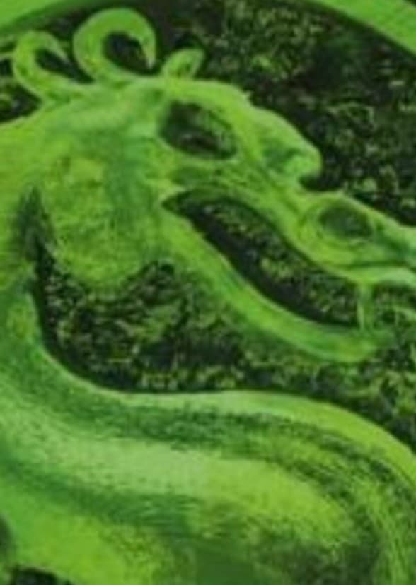 Mortal Kombat: Shinnok's Wrath 