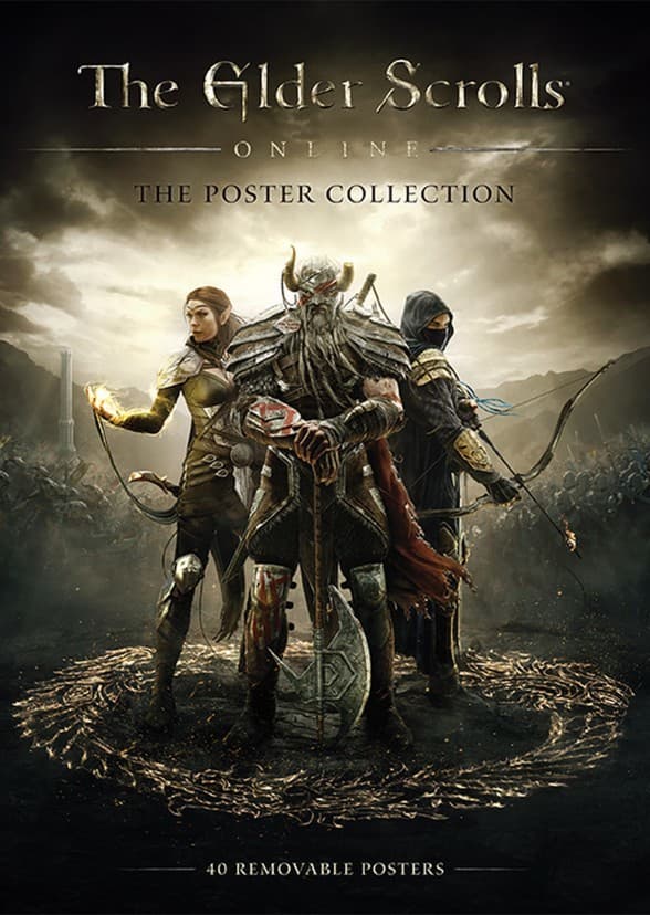 Netflix Elder Scrolls