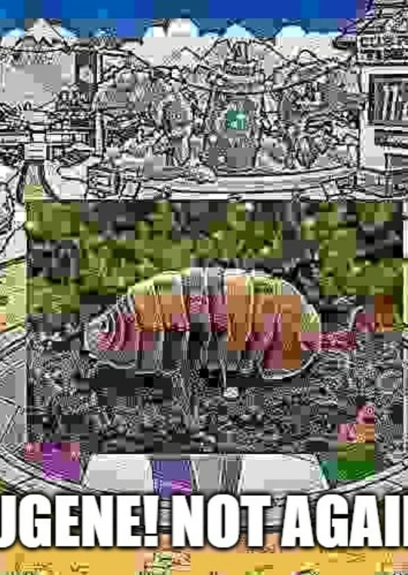 Secret Of The Rookie