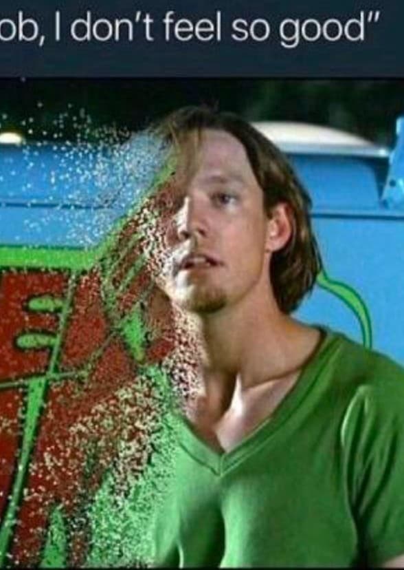 Shaggy: The Disappearing Memes