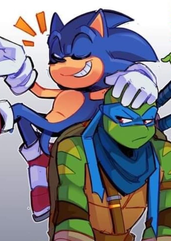 Sonic The Hedgehog X TMNT