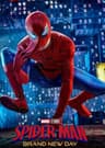 Spider Man Brand New Day