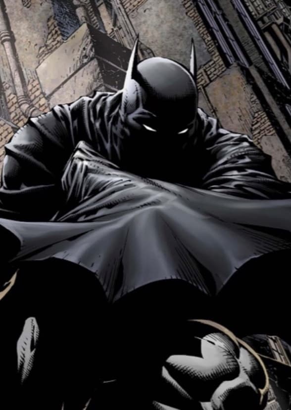 The Batman TV Series