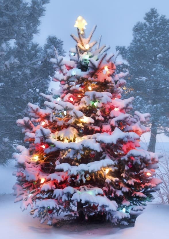 White Christmas (2024)