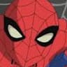 The Spectacular Spider Man