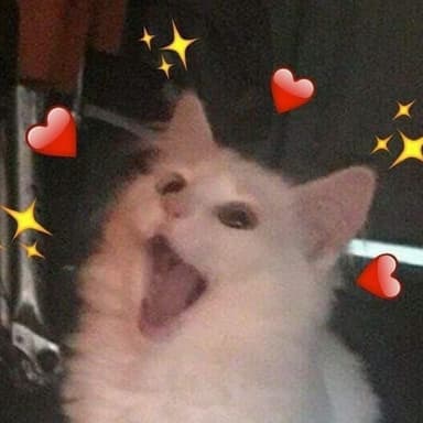 Vitória official média vitória ppg official média