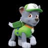 Rocky Paw patrol