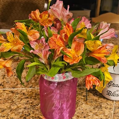 Stephanie Christoffels