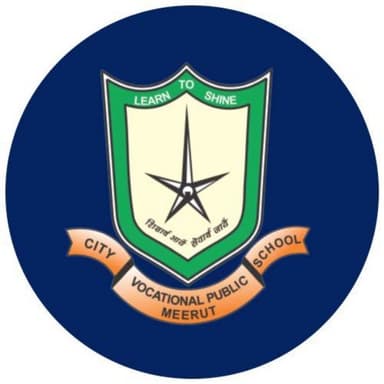 city vocational public school